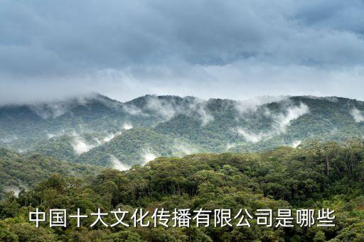 中國(guó)十大文化傳播有限公司是哪些