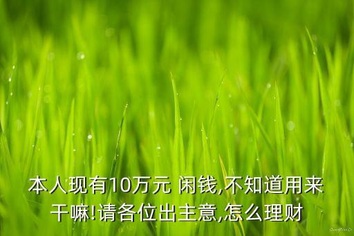 本人現(xiàn)有10萬(wàn)元 閑錢,不知道用來(lái)干嘛!請(qǐng)各位出主意,怎么理財(cái)