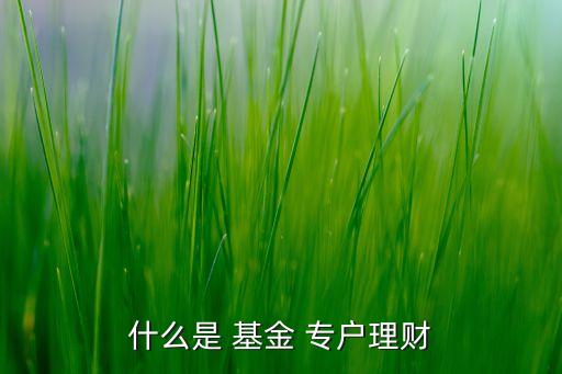 什么是 基金 專(zhuān)戶(hù)理財(cái)