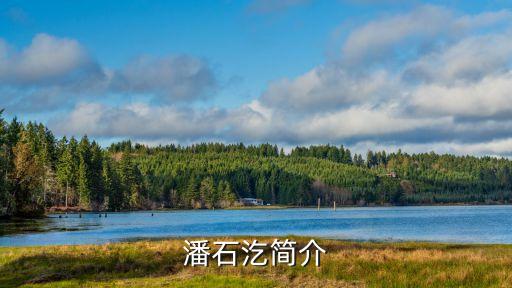 潘石汔簡介
