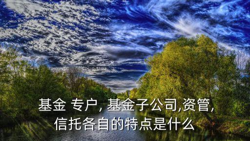  基金 專(zhuān)戶(hù), 基金子公司,資管,信托各自的特點(diǎn)是什么