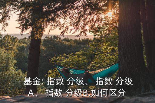  基金: 指數(shù) 分級、 指數(shù) 分級A、 指數(shù) 分級B,如何區(qū)分
