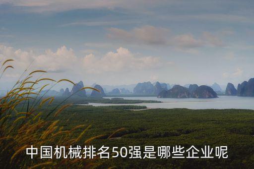 安徽國(guó)購機(jī)器人產(chǎn)業(yè)控股有限公司