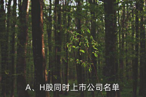 中國國航香港股票