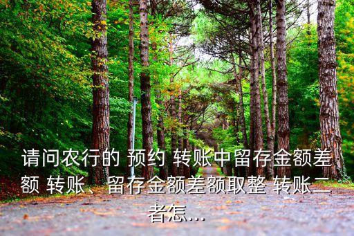 請問農(nóng)行的 預(yù)約 轉(zhuǎn)賬中留存金額差額 轉(zhuǎn)賬、留存金額差額取整 轉(zhuǎn)賬二者怎...