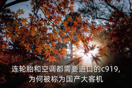 中國通用飛機制造,沈陽瑞祥通用飛機制造