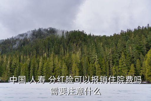 中國人壽分紅險(xiǎn)種,2013年中國人壽分紅險(xiǎn)種