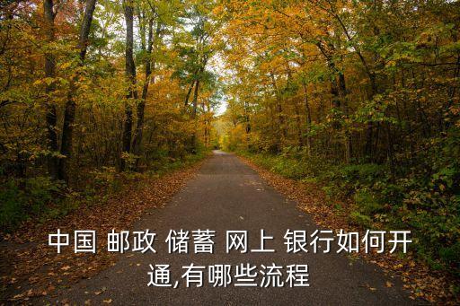 中國(guó) 郵政 儲(chǔ)蓄 網(wǎng)上 銀行如何開通,有哪些流程
