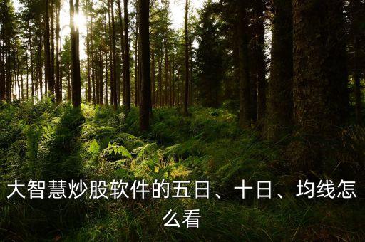 大智慧炒股軟件的五日、十日、均線怎么看