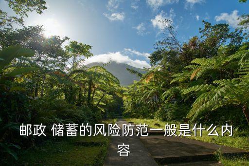  郵政 儲蓄的風險防范一般是什么內(nèi)容