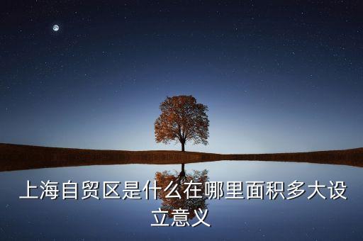  上海自貿(mào)區(qū)是什么在哪里面積多大設立意義