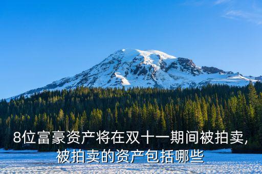 8位富豪資產將在雙十一期間被拍賣,被拍賣的資產包括哪些