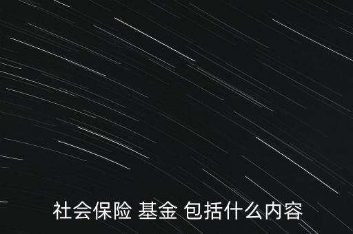 社會(huì)基金消費(fèi)包括,社會(huì)補(bǔ)充保障基金包括哪些