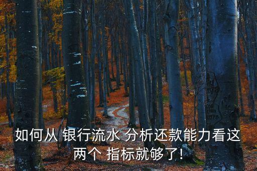 如何從 銀行流水 分析還款能力看這兩個 指標就夠了!