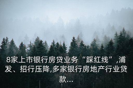 8家上市銀行房貸業(yè)務(wù)“踩紅線”,浦發(fā)、招行壓降,多家銀行房地產(chǎn)行業(yè)貸款...