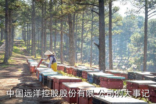 中國(guó)遠(yuǎn)洋控股股份有限 公司的大事記