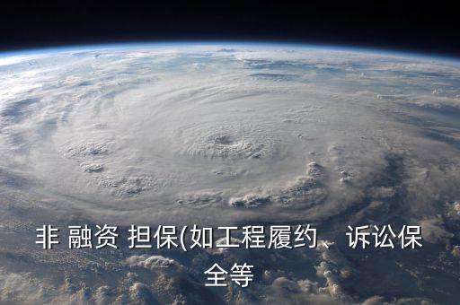 非 融資 擔(dān)保(如工程履約、訴訟保全等