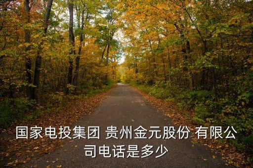 國(guó)家電投集團(tuán) 貴州金元股份 有限公司電話是多少