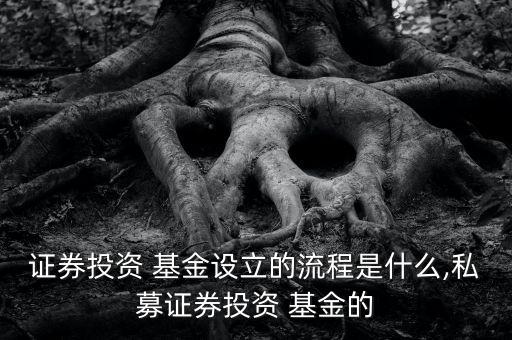 證券投資 基金設立的流程是什么,私募證券投資 基金的