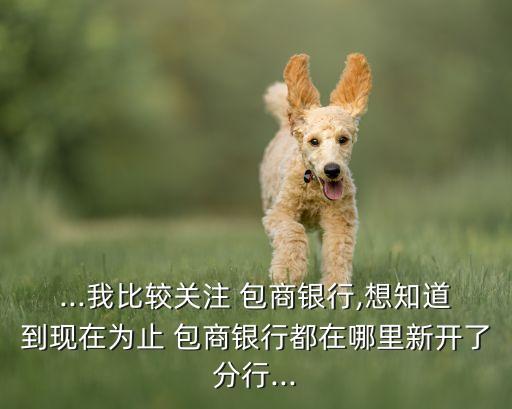 ...我比較關(guān)注 包商銀行,想知道到現(xiàn)在為止 包商銀行都在哪里新開(kāi)了分行...