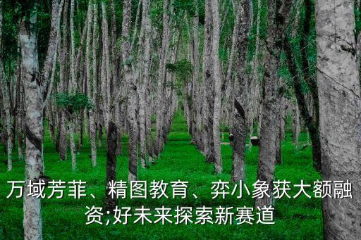 萬域芳菲、精圖教育、弈小象獲大額融資;好未來探索新賽道