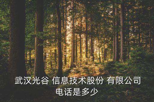  武漢光谷 信息技術股份 有限公司電話是多少