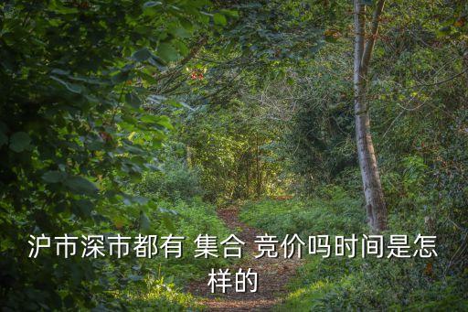 沒有集合競(jìng)價(jià)的股票,怎么在集合競(jìng)價(jià)最快賣出股票