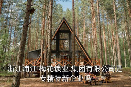 浙江浦江 梅花鎖業(yè) 集團有限公司是專精特新企業(yè)嗎