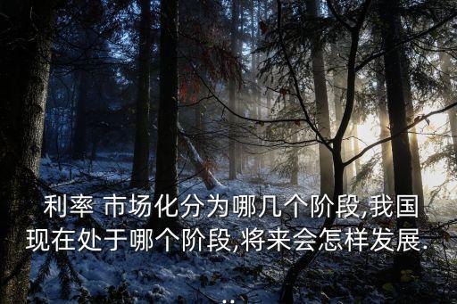 中國利率市場化時(shí)間表,對(duì)中國利率市場化的看法