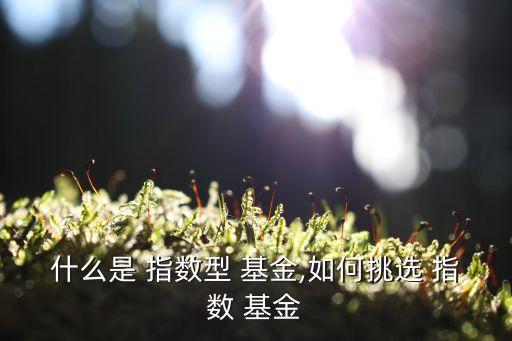 什么是 指數(shù)型 基金,如何挑選 指數(shù) 基金
