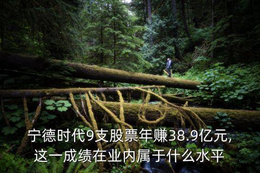 寧德時代9支股票年賺38.9億元,這一成績在業(yè)內(nèi)屬于什么水平