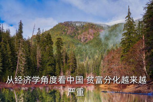 從經(jīng)濟學(xué)角度看中國 貧富分化越來越嚴重