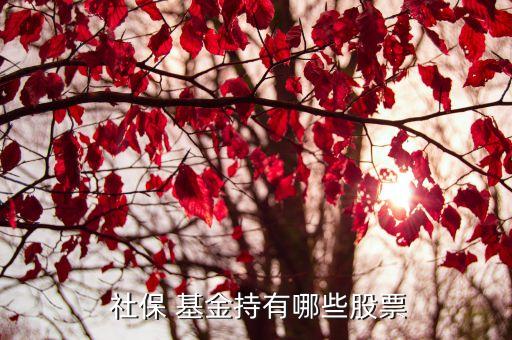 社保基金四一三組合,全國(guó)社保基金四一三組合最新持股明細(xì)