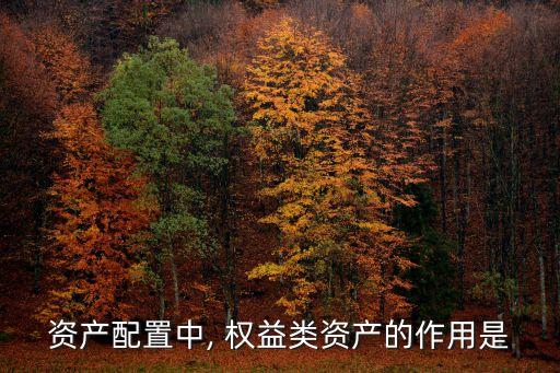 權(quán)益類(lèi)證券投資,證券投資類(lèi)信托產(chǎn)品