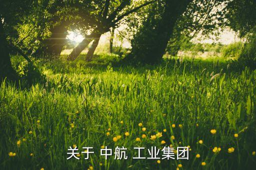 關于 中航 工業(yè)集團