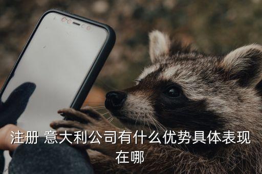 注冊(cè) 意大利公司有什么優(yōu)勢具體表現(xiàn)在哪
