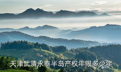  天津武清永泰半島產(chǎn)權年限多少年