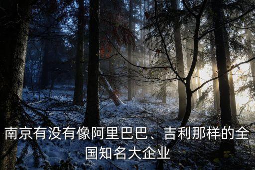 南京有沒有像阿里巴巴、吉利那樣的全國知名大企業(yè)
