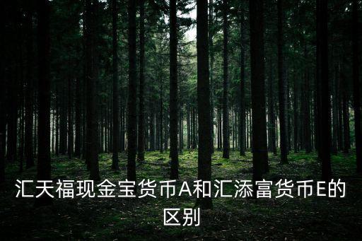 匯天?，F(xiàn)金寶貨幣A和匯添富貨幣E的區(qū)別