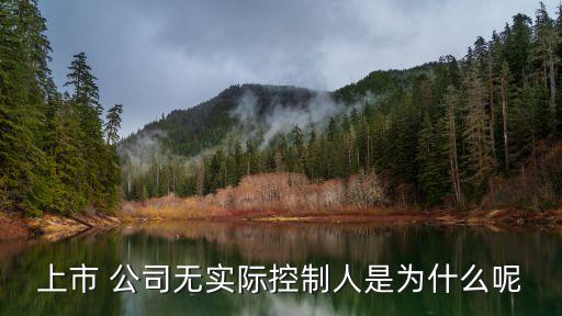 上市 公司無(wú)實(shí)際控制人是為什么呢