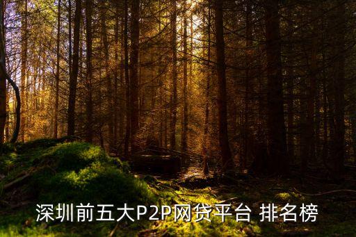 全國(guó)p2p公司前100排名