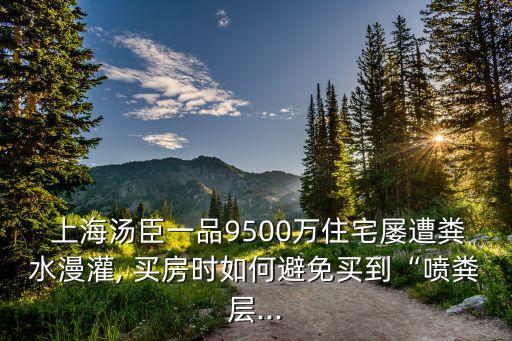  上海湯臣一品9500萬(wàn)住宅屢遭糞水漫灌, 買房時(shí)如何避免買到“噴糞層...
