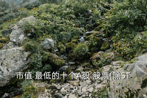 市值 最低的十個(gè)A股 股票(除ST、PT