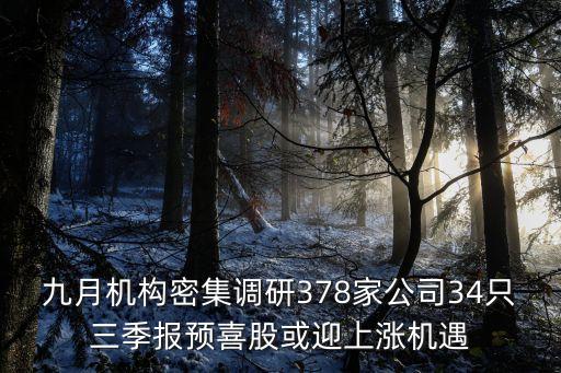 九月機(jī)構(gòu)密集調(diào)研378家公司34只三季報預(yù)喜股或迎上漲機(jī)遇