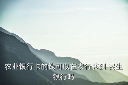 農(nóng)業(yè)銀行卡的錢可以在農(nóng)行轉到 民生銀行嗎