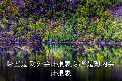 哪些是 對外會計(jì)報表,哪些是對內(nèi)會計(jì)報表