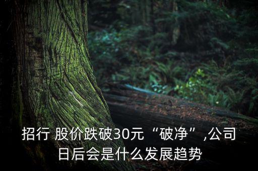 招行 股價(jià)跌破30元“破凈”,公司日后會(huì)是什么發(fā)展趨勢