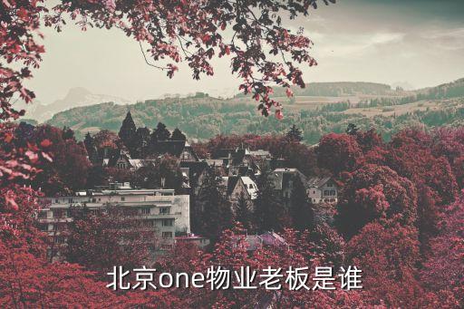 北京美晟楊美玲,北京房地產楊美玲簡介