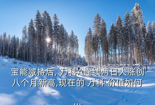 2014萬科a投資價(jià)值分析