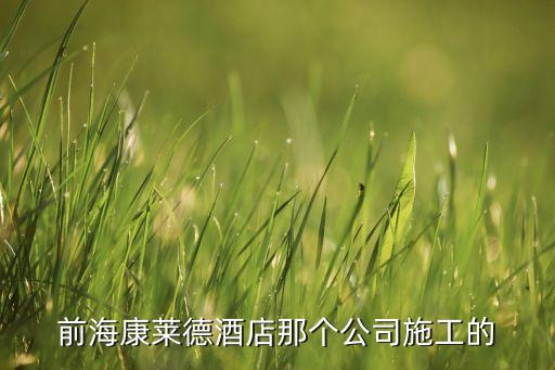 前?？等R德酒店那個公司施工的